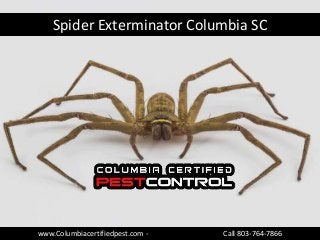 Spider Exterminator Columbia SC
www.Columbiacertifiedpest.com - Call 803-764-7866
 