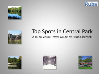 Top Spots in Central ParkA Ruba Visual Travel Guide by Brian Ciccotelli 
