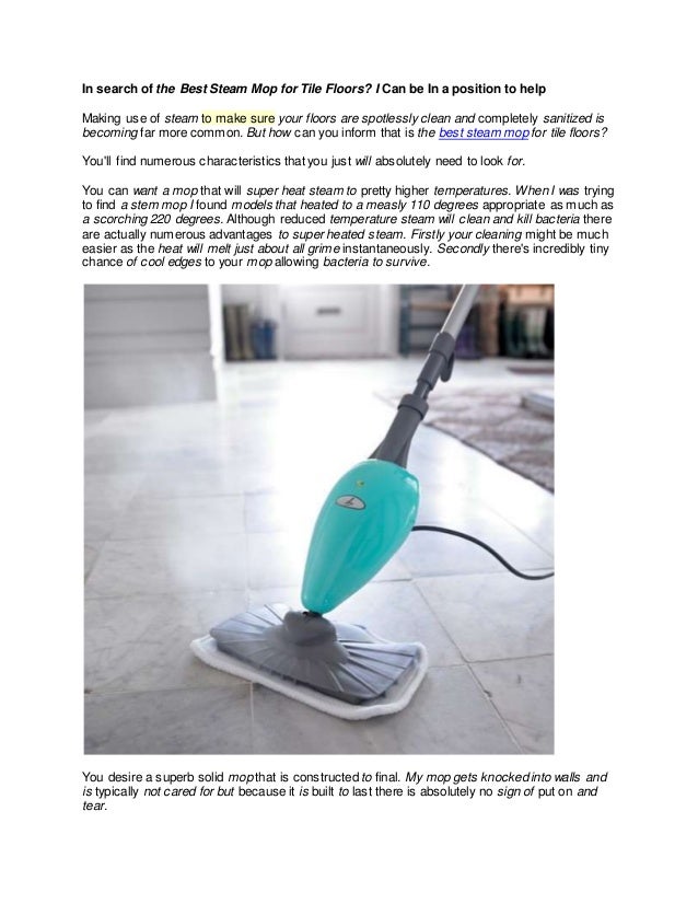 Best Steam Mop 1