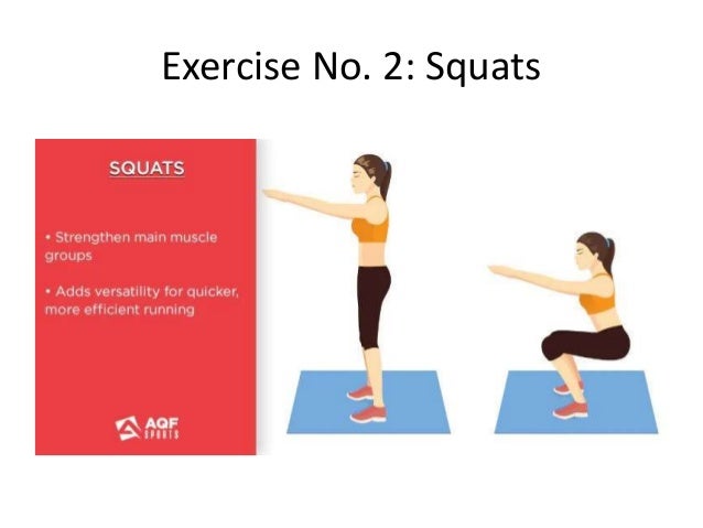 Exercise No. 2: Squats
 