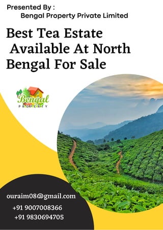 Best Tea Estate
Available At North
Bengal For Sale
Presented By :
Bengal Property Private Limited
ouraim08@gmail.com
+91 9007008366
+91 9830694705
 
