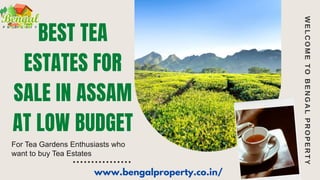 BEST TEA
ESTATES FOR
SALE IN ASSAM
AT LOW BUDGET
W
E
L
C
O
M
E
T
O
B
E
N
G
A
L
P
R
O
P
E
R
T
Y
For Tea Gardens Enthusiasts who
want to buy Tea Estates
www.bengalproperty.co.in/
 