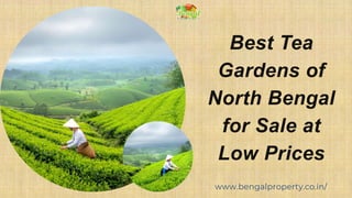 www.bengalproperty.co.in/
Best Tea
Gardens of
North Bengal
for Sale at
Low Prices
 
