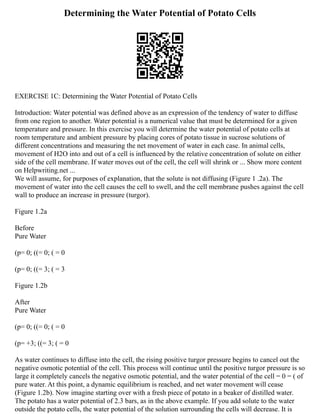 Determining the Water Potential of Potato Cells
EXERCISE 1C: Determining the Water Potential of Potato Cells
Introduction: Water potential was defined above as an expression of the tendency of water to diffuse
from one region to another. Water potential is a numerical value that must be determined for a given
temperature and pressure. In this exercise you will determine the water potential of potato cells at
room temperature and ambient pressure by placing cores of potato tissue in sucrose solutions of
different concentrations and measuring the net movement of water in each case. In animal cells,
movement of H2O into and out of a cell is influenced by the relative concentration of solute on either
side of the cell membrane. If water moves out of the cell, the cell will shrink or ... Show more content
on Helpwriting.net ...
We will assume, for purposes of explanation, that the solute is not diffusing (Figure 1 .2a). The
movement of water into the cell causes the cell to swell, and the cell membrane pushes against the cell
wall to produce an increase in pressure (turgor).
Figure 1.2a
Before
Pure Water
(p= 0; ((= 0; ( = 0
(p= 0; ((= 3; ( = 3
Figure 1.2b
After
Pure Water
(p= 0; ((= 0; ( = 0
(p= +3; ((= 3; ( = 0
As water continues to diffuse into the cell, the rising positive turgor pressure begins to cancel out the
negative osmotic potential of the cell. This process will continue until the positive turgor pressure is so
large it completely cancels the negative osmotic potential, and the water potential of the cell = 0 = ( of
pure water. At this point, a dynamic equilibrium is reached, and net water movement will cease
(Figure 1.2b). Now imagine starting over with a fresh piece of potato in a beaker of distilled water.
The potato has a water potential of 2.3 bars, as in the above example. If you add solute to the water
outside the potato cells, the water potential of the solution surrounding the cells will decrease. It is
 