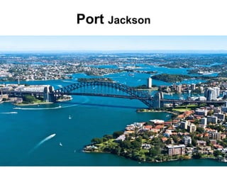 Port Jackson
 