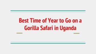 Best Time of Year to Go on a
Gorilla Safari in Uganda
 