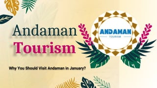 Andaman
Tourism
Why You Should Visit Andaman in January?
 
