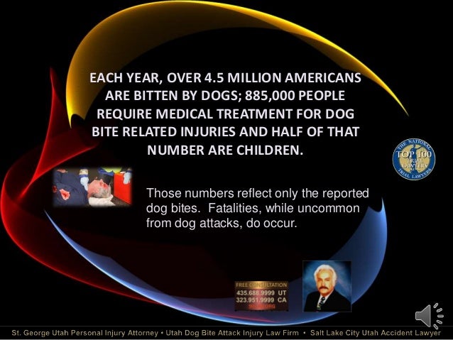 California Dog Bite Attorney California Dog Bite Attorney