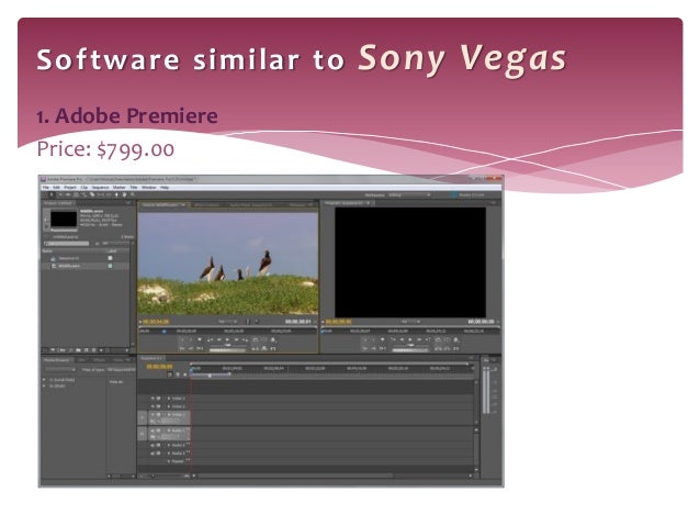 Sony Vegas Vs Adobe Premiere Which One Is Better 2020 Sony Vegas Vs Adobe Premiere Which One Is Better 2020