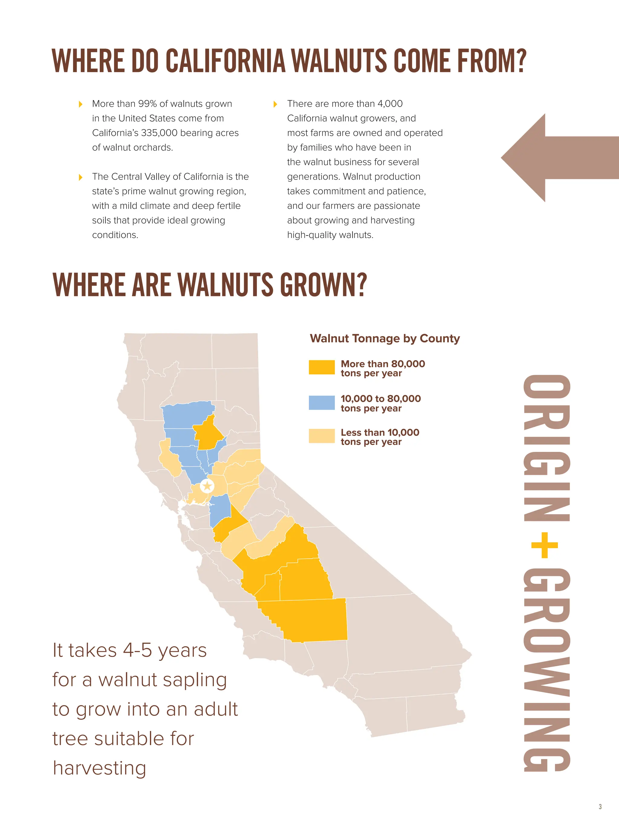 Walnut Shell Map California Best Walnuts in India – California Walnuts for Premium Quality and ...