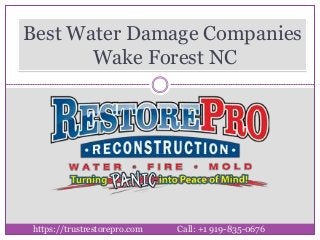 Best Water Damage Companies
Wake Forest NC
https://trustrestorepro.com Call: +1 919-835-0676
 