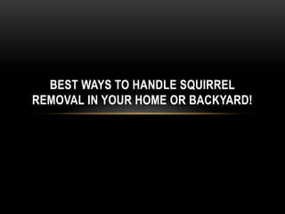 BEST WAYS TO HANDLE SQUIRREL
REMOVAL IN YOUR HOME OR BACKYARD!
 