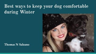 Best ways to keep your dog comfortable
during Winter
Thomas N Salzano
 
