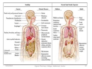 9/23/2019 10Vignan Pharmacy College, Vadlamudi, Guntur
 