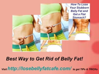 [object Object],Visit  http://losebellyfatcafe.com/   to get TIPs & TRICKs 