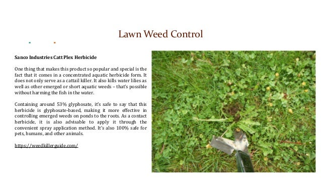 Best Weed And Grass Killer Presentation