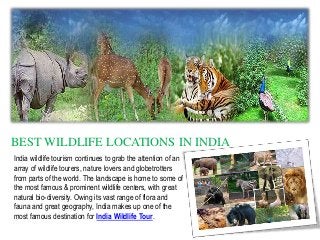 BEST WILDLIFE LOCATIONS IN INDIA
India wildlife tourism continues to grab the attention of an
array of wildlife tourers, nature lovers and globetrotters
from parts of the world. The landscape is home to some of
the most famous & prominent wildlife centers, with great
natural bio-diversity. Owing its vast range of flora and
fauna and great geography, India makes up one of the
most famous destination for India Wildlife Tour.

 