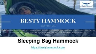 Sleeping Bag Hammock
https://bestyhammock.com
 