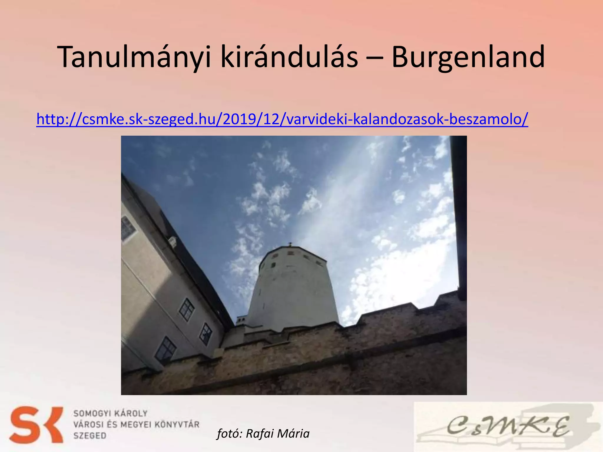 Slide 8