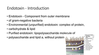 Endotoxin - Introduction
• Endotoxin - Component from outer membrane
• of gram-negative bacteria
• Environmental (unpurified) endotoxin: complex of protein,
• carbohydrate & lipid
• Purified endotoxin: lipopolysaccharide molecule of
• polysaccharide and lipid a, without protein
 