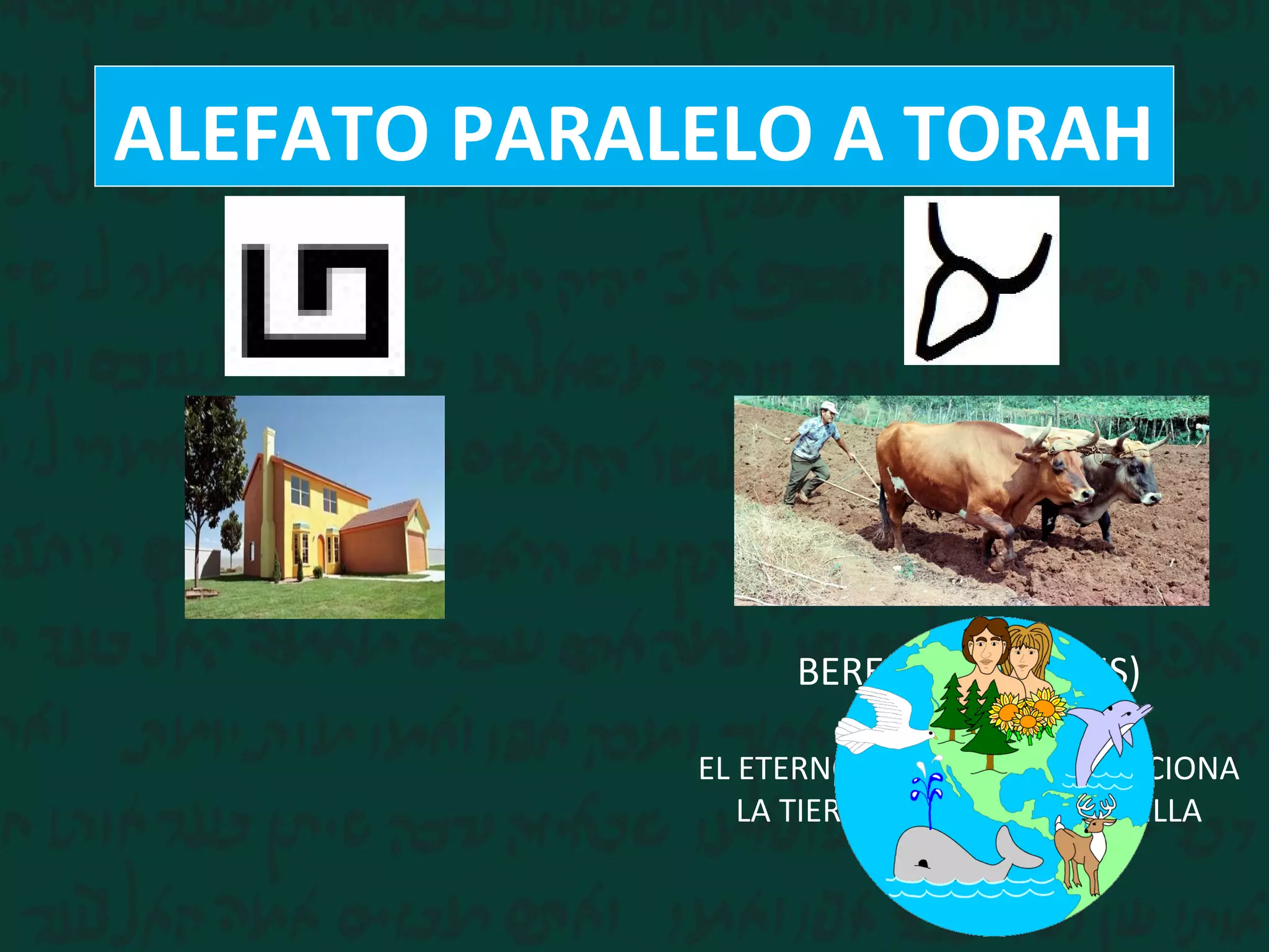 ALEFATO PARALELO A TORAH
BERESHIT (GENESIS)
EL ETERNO PREPARA Y ACONDICIONA
LA TIERRA Y PLANTA LA SEMILLA
(HOMBRE)
 
