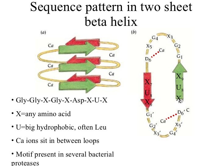 alpha helix and beta sheet alpha helix and beta sheet