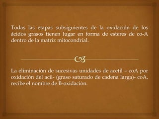 Todas las etapas subsiguientes de la oxidación de los
ácidos grasos tienen lugar en forma de esteres de co-A
dentro de la matriz mitocondrial.




La eliminación de sucesivas unidades de acetil – coA por
oxidación del acil- (graso saturado de cadena larga)- coA,
recibe el nombre de B-oxidaciòn.
 