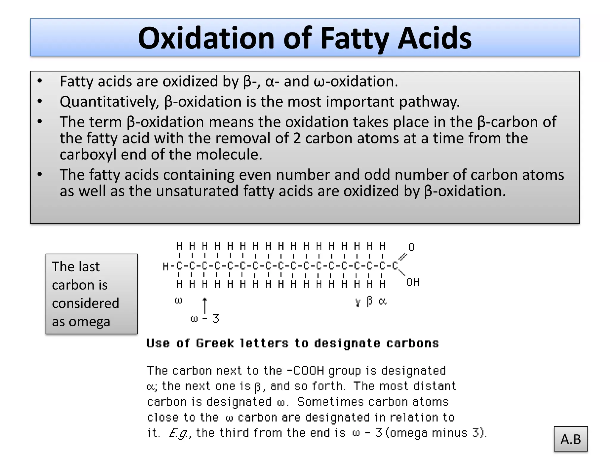 Beta oxidation of fatty acid | PDF