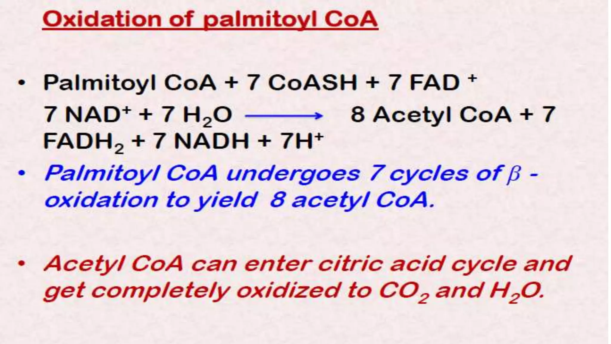 Beta oxidation of fatty acids | PPTX | Chemistry | Science