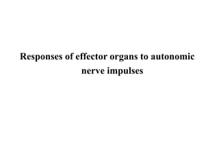 Responses of effector organs to autonomic
nerve impulses
 