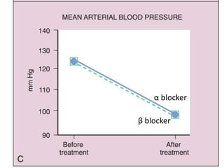 α blocker
β blocker
 
