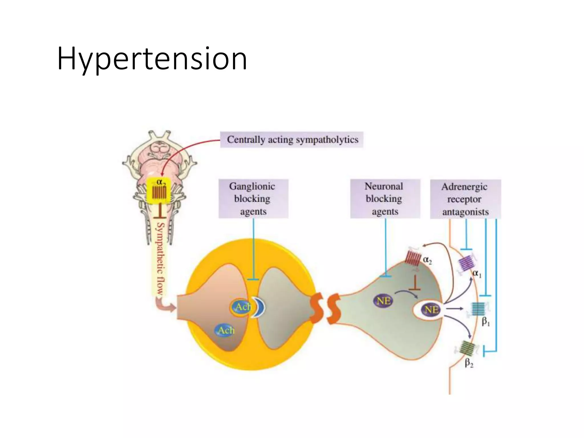 Hypertension
 