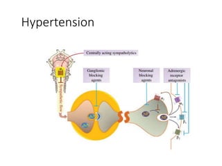Hypertension
 