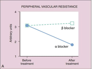β blocker
α blocker
 