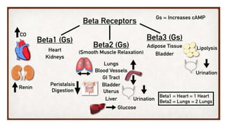 Beta blocker dr. kiran.. | PPTX