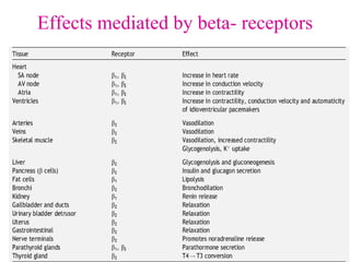 Effects mediated by beta- receptors
 