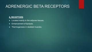 ADRENERGIC BETA RECEPTORS
β3 RECEPTORS
 Located mainly in the adipose tissues.
 Enhancement of lipolysis.
 Thermogenesis in skeletal muscles.
 
