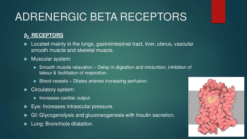 Beta blockers Role in Hypertension