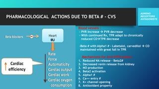 PHARMACOLOGICAL ACTIONS DUE TO BETA # - CVS
ADRENO
RECEPTORS
ANTAGONISTS
Blood vessels :
- PVR Increase  PVR decrease
- With continued Rx, TPR adapt to chronically
reduced COTPR decrease
-Beta # with Alpha1 # - Labetalol, carvedilol  CO
maintained with great fall in TPR
Mechanisms for Anti-HTN action:
1. Reduced NA release – Beta2#
2. Decreased renin release from kidney
3. NO production
4. Beta2 activation
5. Alpha1 #
6. Ca++ entry #
7. K+ channel opening
8. Antioxidant property
 