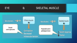 EYE & SKELETAL MUSCLE
 