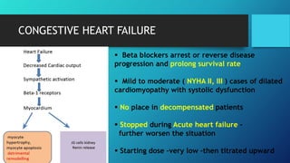 CONGESTIVE HEART FAILURE

 Beta blockers arrest or reverse disease
progression and prolong survival rate
 Mild to moderate ( NYHA II, III ) cases of dilated
cardiomyopathy with systolic dysfunction
 No place in decompensated patients
 Stopped during Acute heart failure –
further worsen the situation
 Starting dose –very low –then titrated upward
 