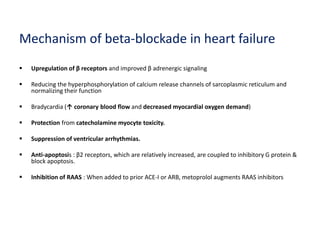 Mechanism of beta-blockade in heart failure
 Upregulation of β receptors and improved β adrenergic signaling
 Reducing the hyperphosphorylation of calcium release channels of sarcoplasmic reticulum and
normalizing their function
 Bradycardia (↑ coronary blood flow and decreased myocardial oxygen demand)
 Protection from catecholamine myocyte toxicity.
 Suppression of ventricular arrhythmias.
 Anti-apoptosis : β2 receptors, which are relatively increased, are coupled to inhibitory G protein &
block apoptosis.
 Inhibition of RAAS : When added to prior ACE-I or ARB, metoprolol augments RAAS inhibitors
 