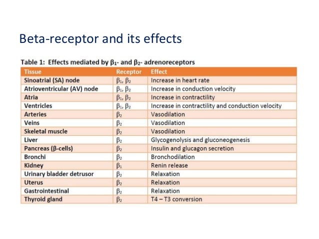 Muskeln  Gelenke Medpex Versandapotheke