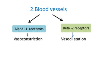 2.Blood vessels
Vasoconstriction Vasodilatation
Alpha -1 receptors Beta -2 receptors
 