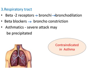 3.Respiratory tract
• Beta -2 receptors bronchi bronchodilation
• Beta blockers broncho constriction
• Asthmatics - severe attack may
be precipitated
Contraindicated
in Asthma
 