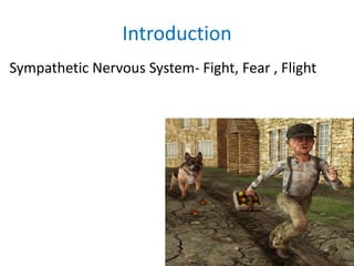 Introduction
Sympathetic Nervous System- Fight, Fear , Flight
 