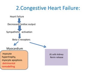 2.Congestive Heart Failure:
Heart Failure
Decreased Cardiac output
Sympathetic activation
Beta-1 receptors
Myocardium
myocyte
hypertrophy,
myocyte apoptosis
detrimental
remodelling
JG cells kidney
Renin release
 