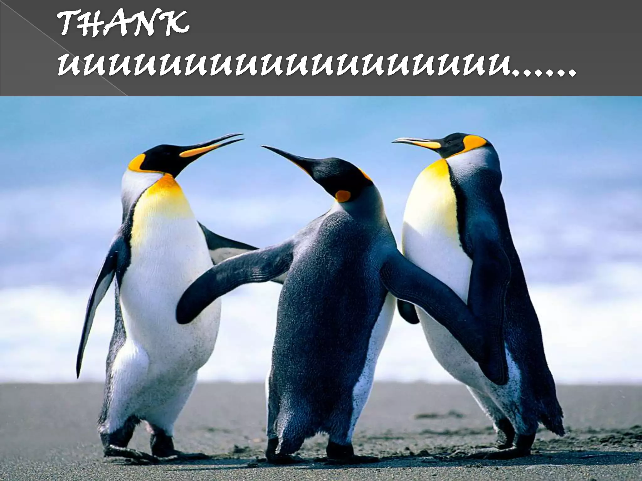 Beta blockers and calcium channel blockers