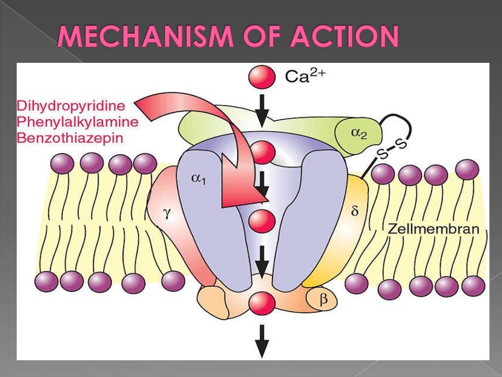 Beta blockers and calcium channel blockers