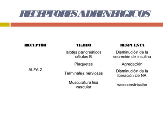 R CE TOR SADR NE GICOS
 E P    E    E R

RECEPTOR         TEJIDO              RESPUESTA
           Islotes pancreáticos    Disminución de la
                 células B        secreción de insulina
                Plaquetas             Agregación
 ALFA 2                            Disminución de la
           Terminales nerviosas
                                   liberación de NA
             Musculatura lisa
                                    vasoconstricción
                vascular
 